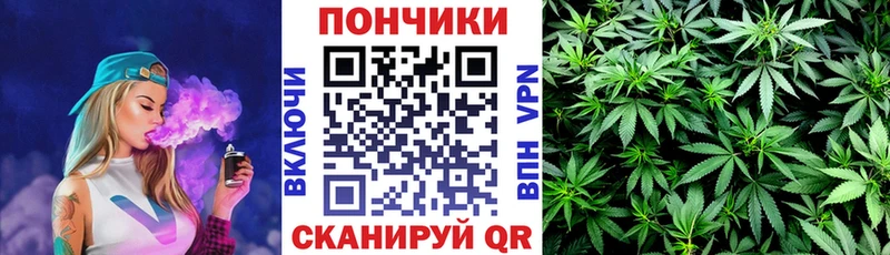 продажа наркотиков Черепаново shop состав Бошки Шишки OG Kush